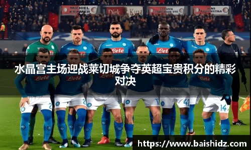 水晶宫主场迎战莱切城争夺英超宝贵积分的精彩对决